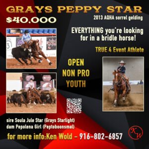 Ken Wold Sale Ad 2024