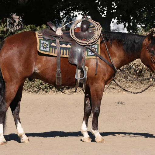 real smooth cowboy