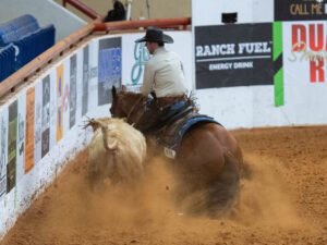 Seven S Johnny Reb