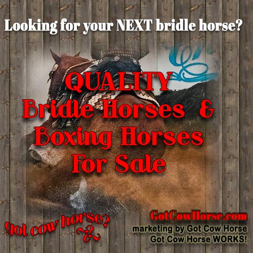 bridle horses Archives - Got Cow Horse WORKS!