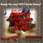 derby horse