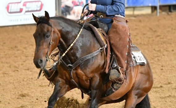 Callme Mister Mister