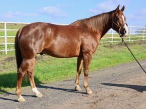 TimeToGetYourShineOn