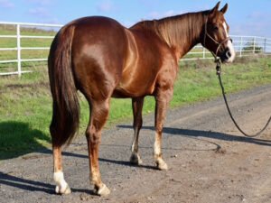 TimeToGetYourShineOn