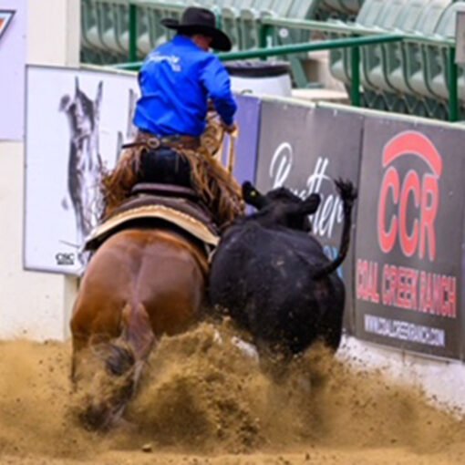 TimeToGetYourShineOn