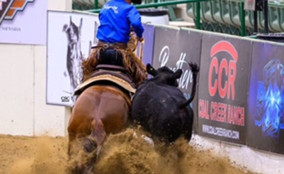 TimeToGetYourShineOn