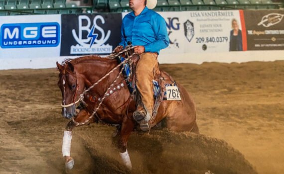 Betz Shesa Starlight