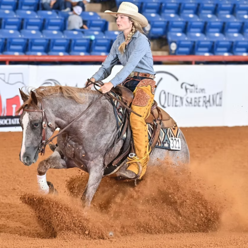 Hickorys Sweet Shine