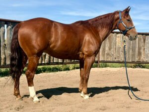 RR Karona Kat
